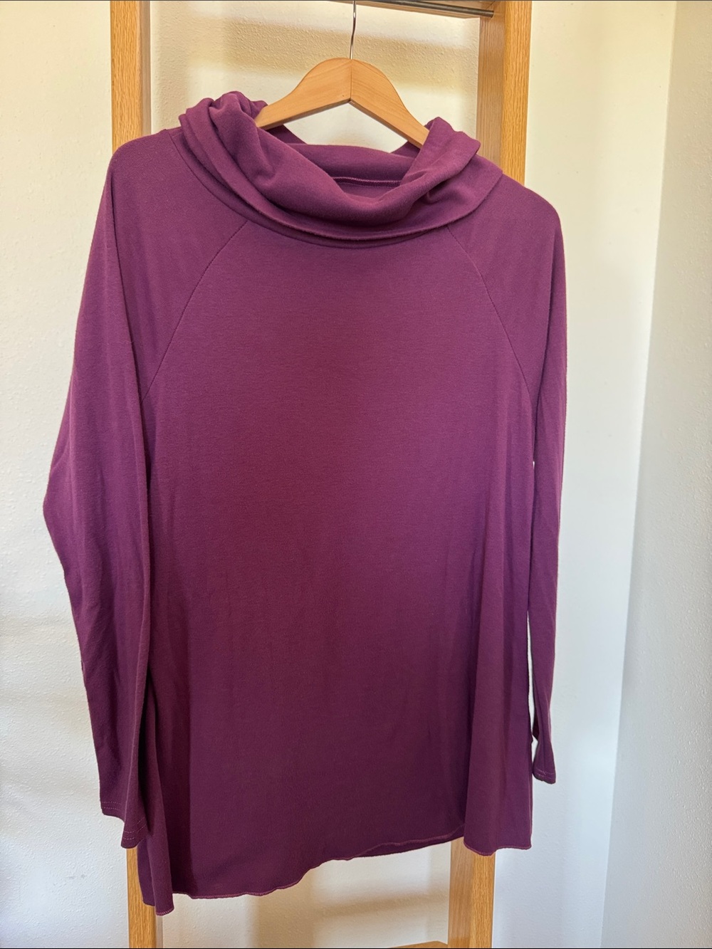 Like new Boutique Cozy Plum Cowl Neck Long Sleeve Top reversible